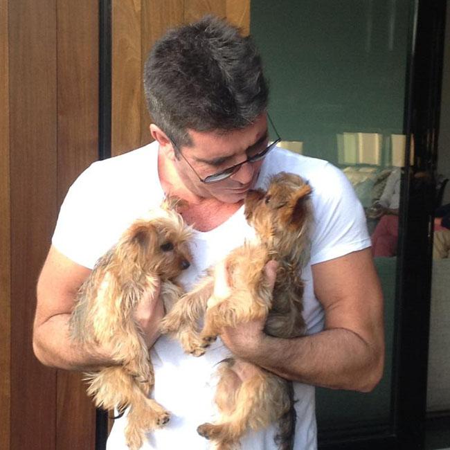 Simon Cowell Bathes With His Dogs - Its The Vibe