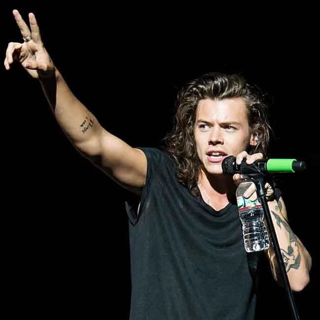 Harry Styles tipped for Hollywood stardom - Its The Vibe