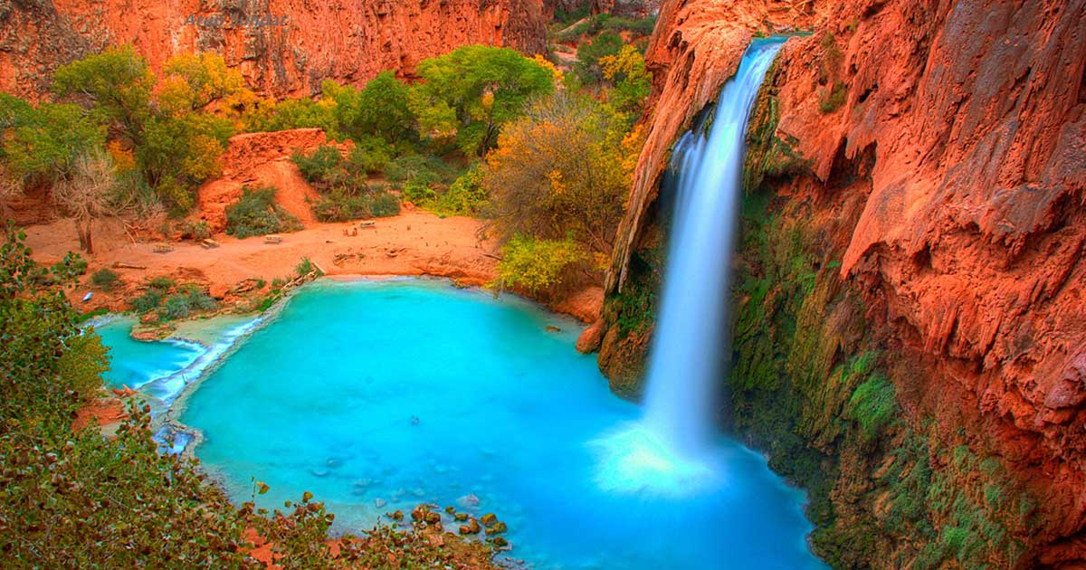Havasu Falls Hidden Grand Canyon Oasis Is a MustSee